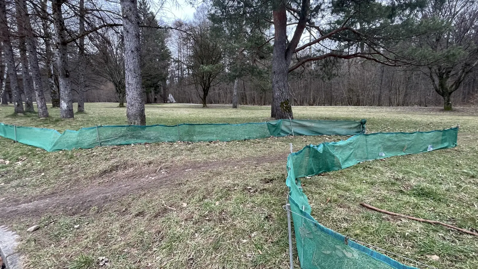 Am Perlacher Forst werden demnächst Leitungstrassen vom Bewuchs befreit.  (Foto: hw)