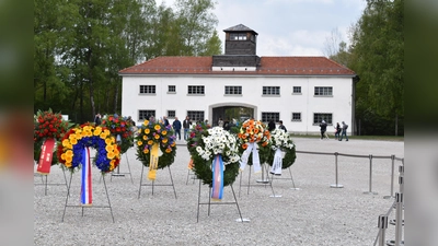 Im Konzentrationslager Dachau und seinen zahlreichen Außenlagern waren über 200.000 Menschen inhaftiert. Wahrscheinlich um die 41.500 wurden ermordet. (Foto: Daniel Mielcarek)