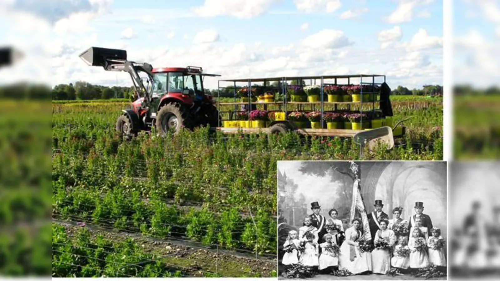 Blumengrüße aus Eicherloh: Gärtner Wolfgang Richter bei der Arbeit. Die Blumen werden dann frühmorgens zur Münchner Großmarkthalle gebracht. Foto klein: Fahnenweihe im Jahr 1900: Die Gärtner präsentierten sich hier im allerfeinsten Festaufzug.  (F: VA)