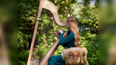 Zu einem Abend voller irischer Musik lädt die Bayernpartei am 11. Oktober ein.  (Foto: Irish Charms )