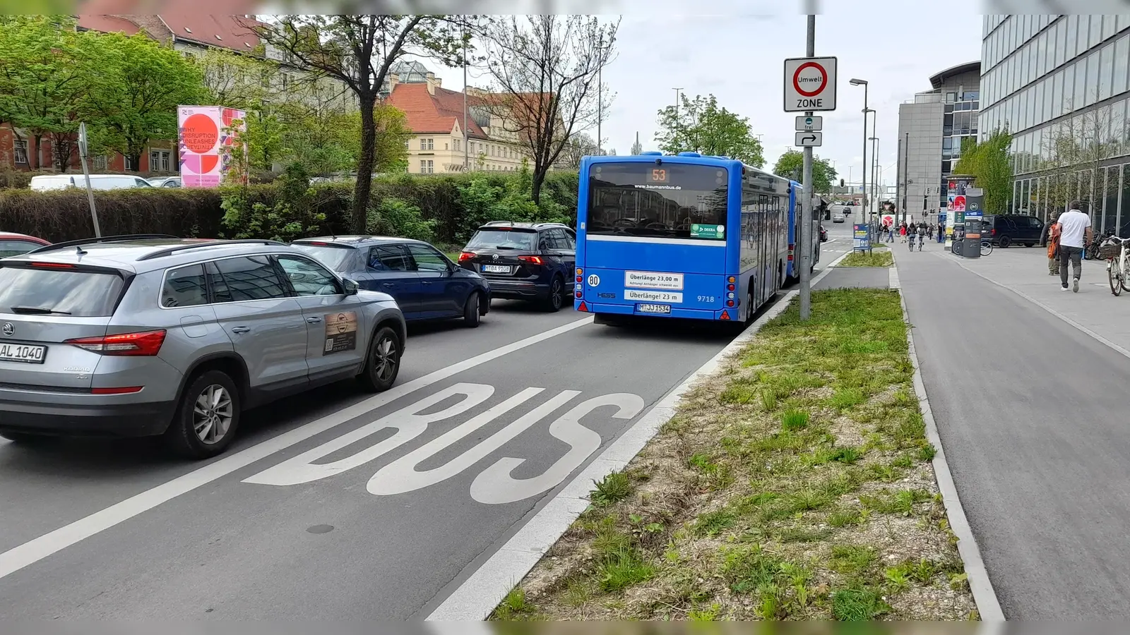 Für die neue Busspur in der Trappentreustraße wurden einige Bäume gefällt, die jetzt fehlen. (Foto: Beatrix Köber)