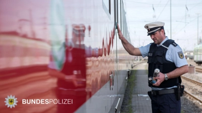 In Zorneding konnten zwei Graffiti-Täter gefasst werden, die zwei Wagengarnituren auf rund 30 Meter Länge besprüht hatten. (Foto: Bundespolizei)