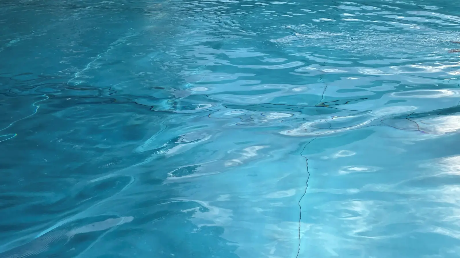 Ab ins kühle Nass, Schwimmen ist gelenkschonend und macht Spaß! (Foto: hw)