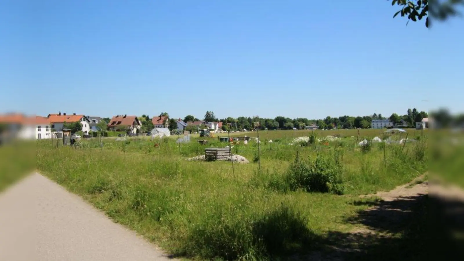 Die &amp;quot;Erdbeerwiese&amp;quot; an der Weinschenkstraße. Zwischenzeitlich war hier unter anderem der Neubau einer Realschule geplant. (Foto: sb)