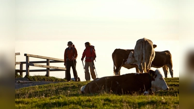 Bergwanderer im Almgebiet: Durch eine einheitliche Beschilderungen sollen Ausflügler auf "Gefahren" aufmerksam gemacht werden. (Foto: Chiemsee-Alpenland Tourismus)