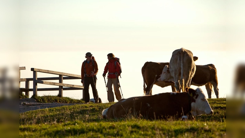 Bergwanderer im Almgebiet: Durch eine einheitliche Beschilderungen sollen Ausflügler auf "Gefahren" aufmerksam gemacht werden. (Foto: Chiemsee-Alpenland Tourismus)