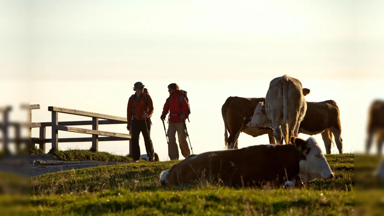 Bergwanderer im Almgebiet: Durch eine einheitliche Beschilderungen sollen Ausflügler auf "Gefahren" aufmerksam gemacht werden. (Foto: Chiemsee-Alpenland Tourismus)