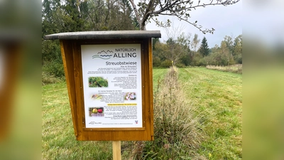 Das Schild an der Streuobstwiese in Obermoos. Hier wird alles rund um Streuobst und die Ernte erklärt. (Foto: Gemeinde Alling)