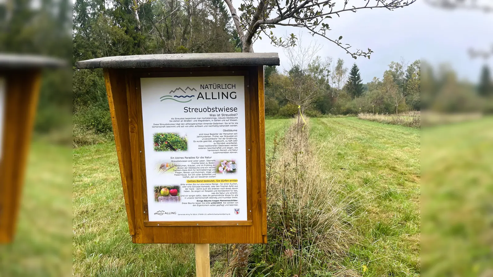 Das Schild an der Streuobstwiese in Obermoos. Hier wird alles rund um Streuobst und die Ernte erklärt. (Foto: Gemeinde Alling)