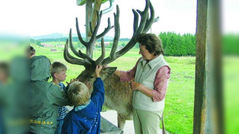 Viele Kinder aus der Umgebung kennen Jägerin Christa Rodenkirchen und den berühmten Hirsch Sepp. (Foto: SE)
