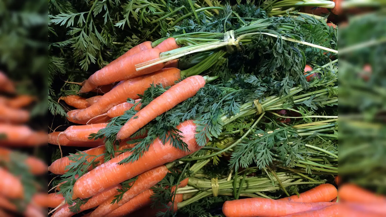 Nichts schmeckt besser als Gemüse aus dem eigenen Garten. (Foto: dm)