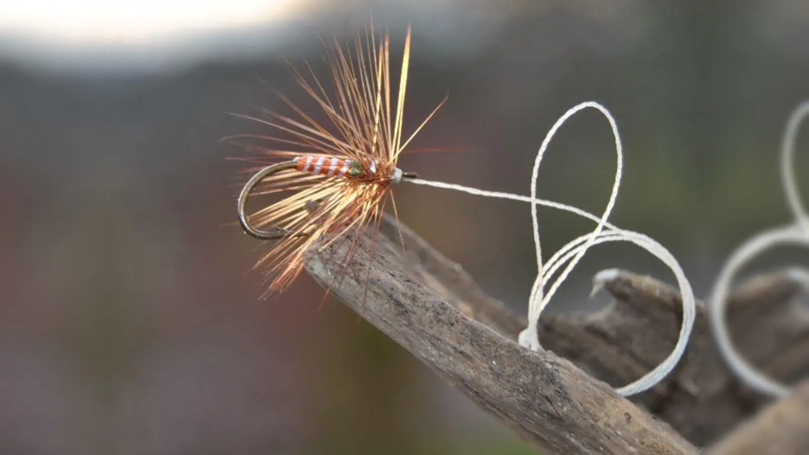 Täuscht den Fisch, dann beißt er an: Eine nachgebundene Fliege aus dem Tegernseer Manuskript. (Foto: © Dr. Peter Schmidt)