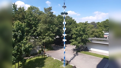 Der letzte Maibaum der Pfarrei St. Karl Borromäus wurde vor fünf Jahren aufgestellt. (Foto: Pfarrei)
