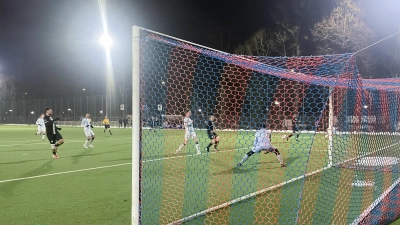 Rückkehr aus der Winterpause: Amateur-Löwen.  (Foto: AS)