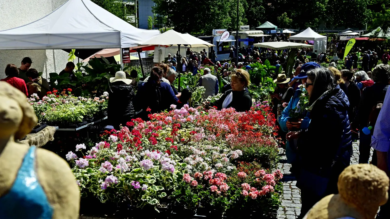 Die Freisinger Gartentage 2026 am 9. und 10. Mai 2026 werden noch attraktiver sein als 2025.  (Foto: Lex)