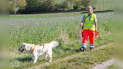 Wichtige Aufgabe: Die Johanniter Peißenberg trainieren regelmäßig ihr Hundestaffel. (Foto: Johanniter Peißenberg)