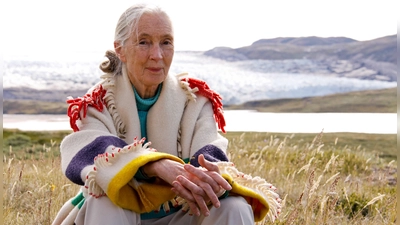 Eine bescheidene Frau und eine großartige Persönlichkeit: Die Verhaltensforscherin Jane Goodall verstarb am 1. Oktober mit 91 Jahren. Aus diesem Anlass zeigt das Filmmuseum den Dokumentarfilm „Jane's Journey”.  (Foto: Andre Zacher)