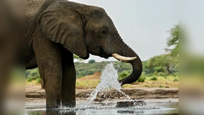 Das Mohr-Villa Team lädt in die Situlistraße 75 ein. (Foto: VA)