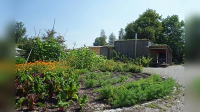 Der Verein Dachauer Moos - ein Verein zur Sicherung und Entwicklung des Dachauer Mooses - erweitert heuer sein Angebot. (Foto: Verein)