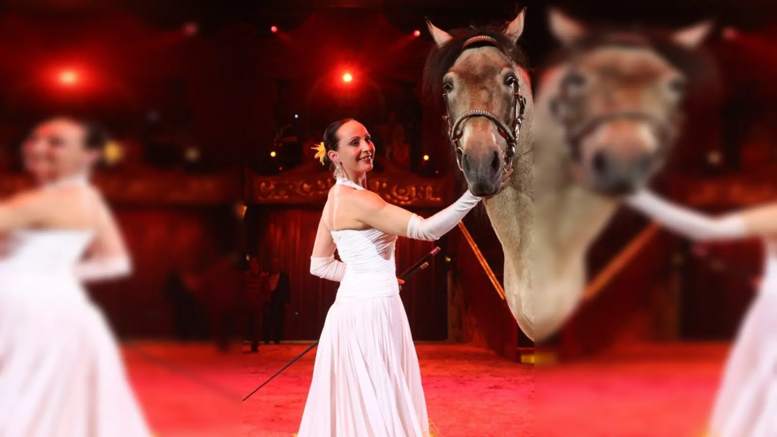 Für echte Circusluft sorgen die bildschönen Pferde des Circus Krone in einer stilvollen Manegen-Phantasie und eine elegante Hohe-Schule, dargeboten von der Direktorin des Hauses, Jana Mandana Lacey-Krone. (Foto: Circus Krone)