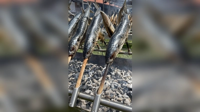 Frisch gemachten Steckerlfisch gibt es beim Weiherfest in Sauerlach. (Foto: hw)