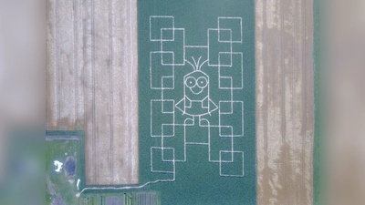 Das Minion grüßt aus dem Maisfeldlabyrinth. (Foto: Mayr)