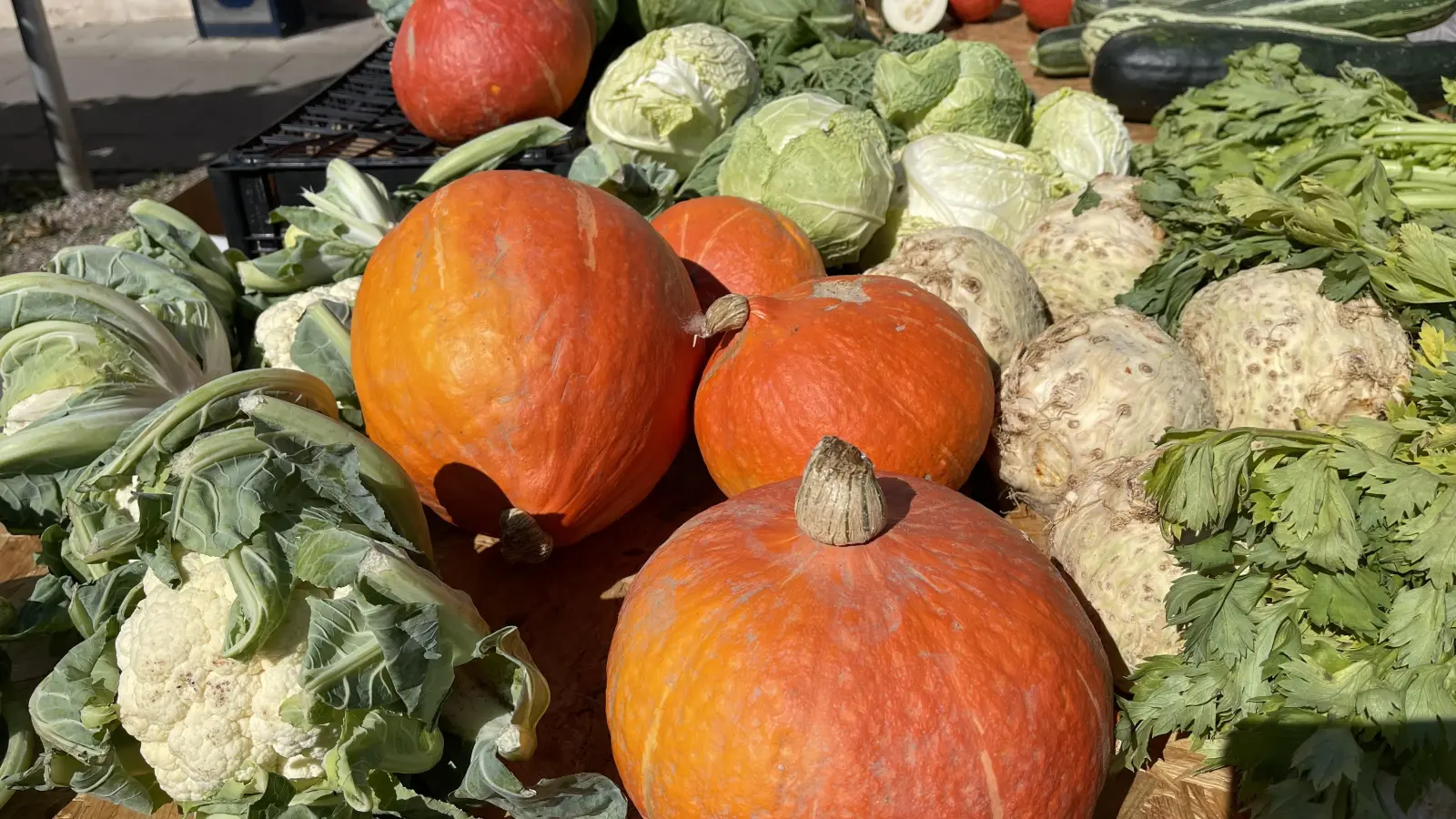 Worauf man bei der Ernährung von Demenzerkrankten achten sollte, erfährt man bei diesem Vortrag. (Foto: hw)