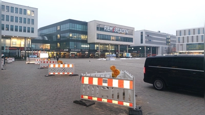 Die Arbeiten zur Umgestaltung des Willy-Brandt-Platzes haben begonnen. So sind Bäume gefällt worden, die erkrankt und/oder nicht mehr standsicher waren. (Foto: bas)