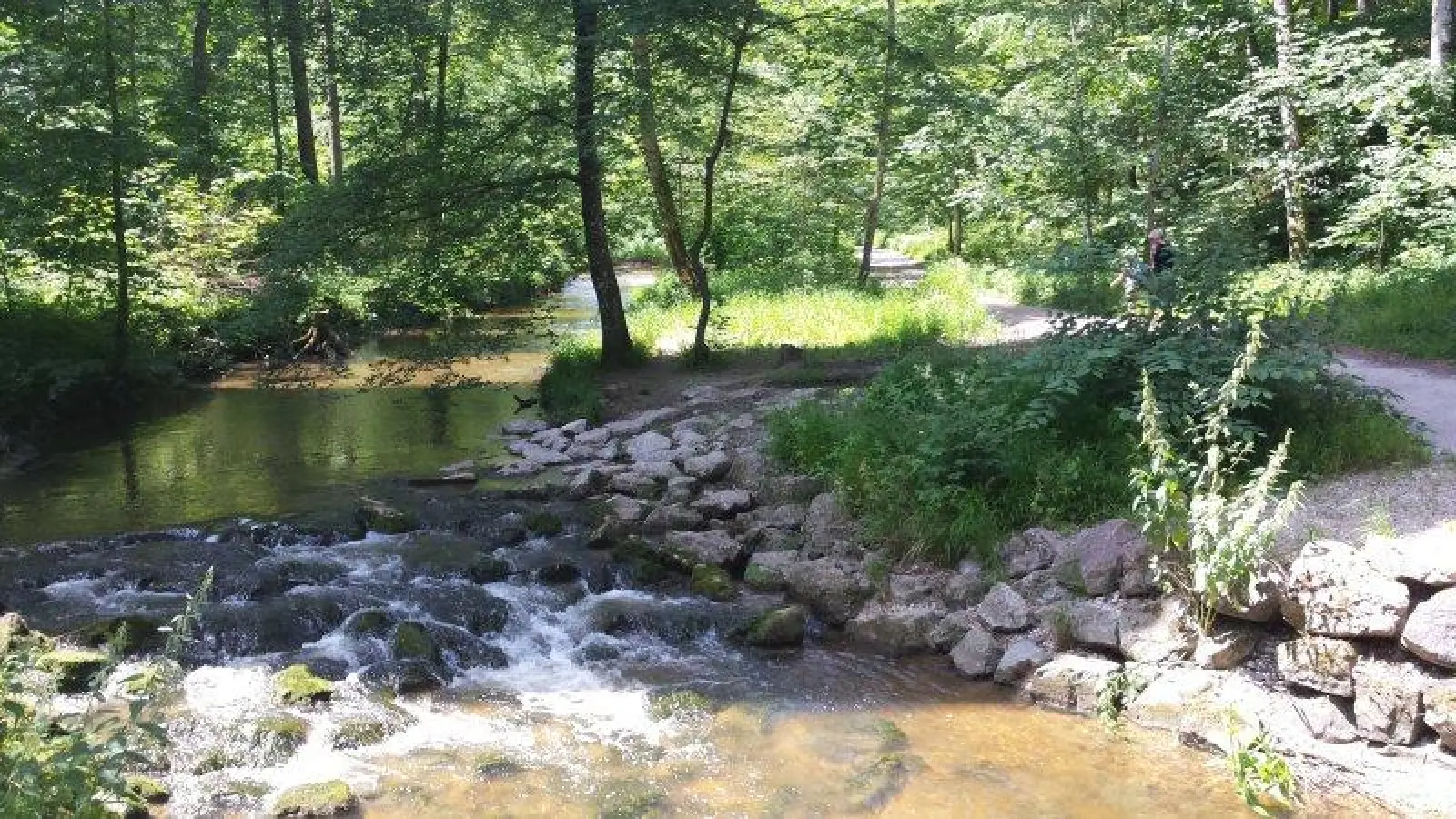 Die Maisinger Schlucht ist, wie hier im Sommer, ein beliebtes Ausflugsziel für Einheimische und Urlauber. Damit dies so bleibt, müssen umfangreiche Forstarbeiten gemacht werden. (Foto: eis)
