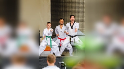 Die Show bot einen guten Einblick in die Kampfkunst des Taekwondo. (Foto: privat)