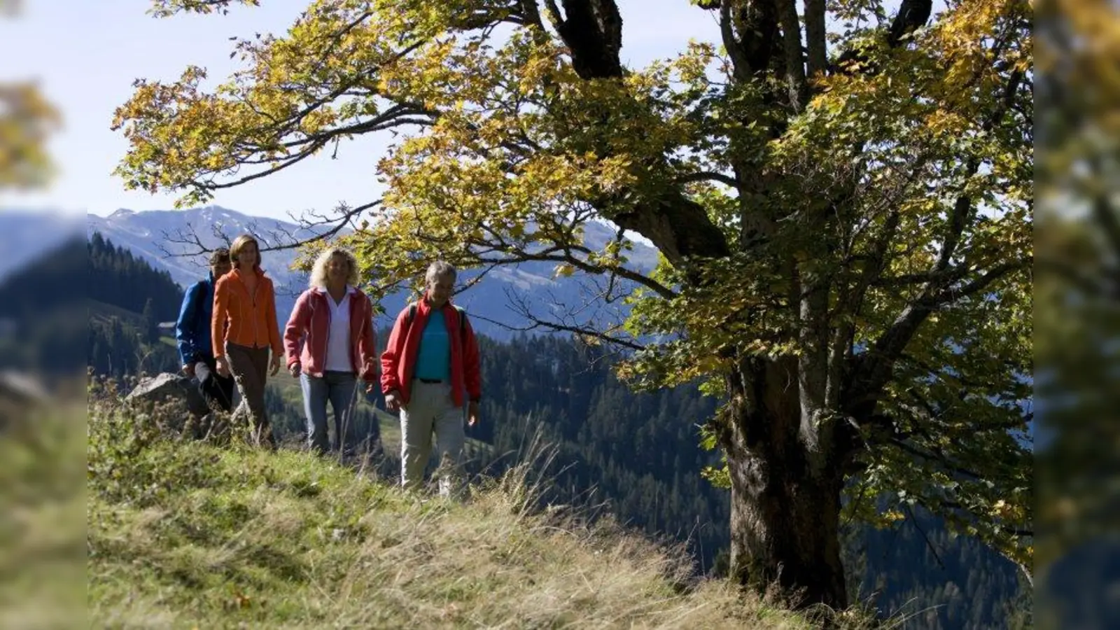 In Oberndorf lädt ein umfangreiches Rad- und Wanderwegenetz ein die Natur zu entdecken und neue Energie für den Alltag zu sammeln. (Foto: Hotel Lindner)