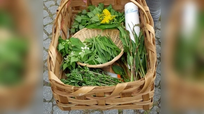 Auf unseren heimischen Wiesen ist der &amp;quot;Tisch&amp;quot; reich gedeckt. Auf einer Wildkräuterführung in und um Frieding kann man vom Wissen von Gisela Hafemeyer profitieren. (Foto: Hafemeyer)