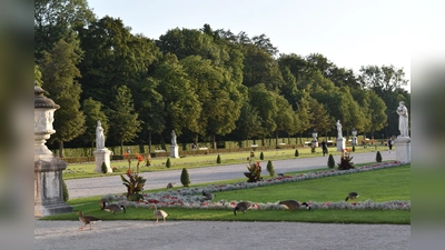Der Schlosspark Nymphenburg wird schon sehr bald mit einer farbenfrohen, üppigen Frühjahrsbepflanzung seine Besucher verzaubern. (Archivbild: dm)