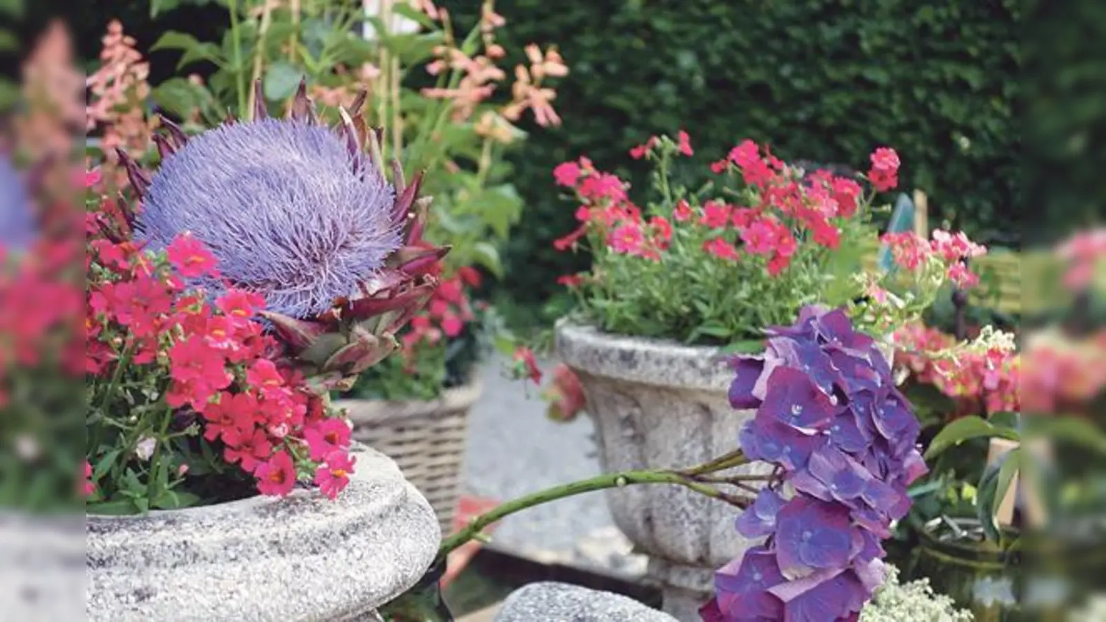 Jede Menge geboten wird am Sonntag im ÖBZ, da wird zum Tag der offenen Gartentüre eingeladen.                            (Foto: hw)