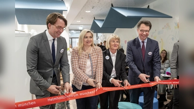 Ein vorrangiges Projekt in dem im März eröffneten Forschungszentrum ist die Entwicklung einer Insulin-Impfung gegen Typ-1-Diabetes.  (Foto: Helmholtz Zentrum München)