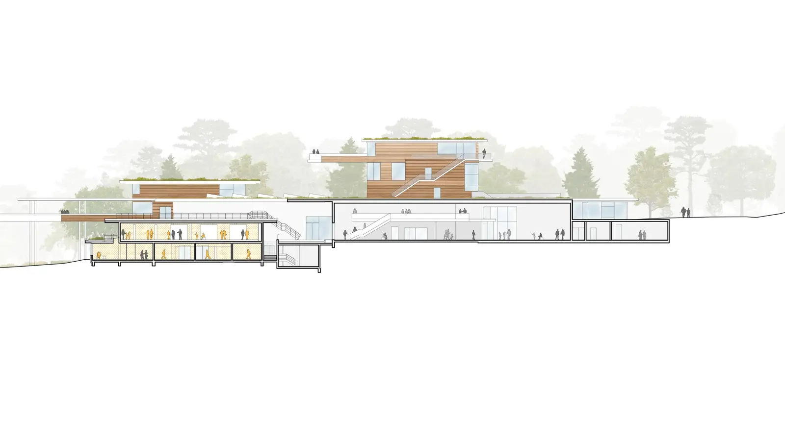 Die geplante Erweiterung des Buchheim Museums im Längsschnitt. (Foto: Behnisch Architekten)