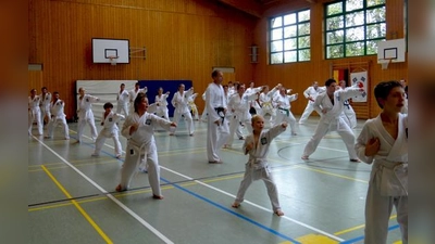 Interessant für alle Altersklassen: Asiatische Kampfsportarten wie Taekwondo sind auch in Berglern groß nachgefragt.	 (Foto: Verein)