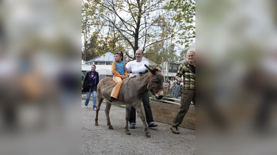 Bei den Kindern zählte natürlich das Eselreiten zu den Hauptattraktionen. (Foto: pi)