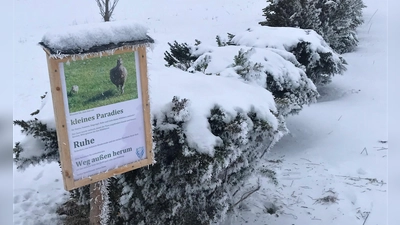 Die meisten Spaziergänger, Radfahrer und Reiter halten sich an die Bitte auf der Infotafel.. (Foto: Gemeinde Alling)