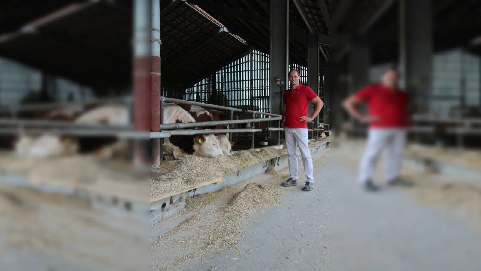 Stefan Dellinger vom Konradhof lebt mit und vor allem für seine Tiere. Eine enge Bindung ist ihm wichtig, auch zum Nutztier. (Foto: Huss-Weber)