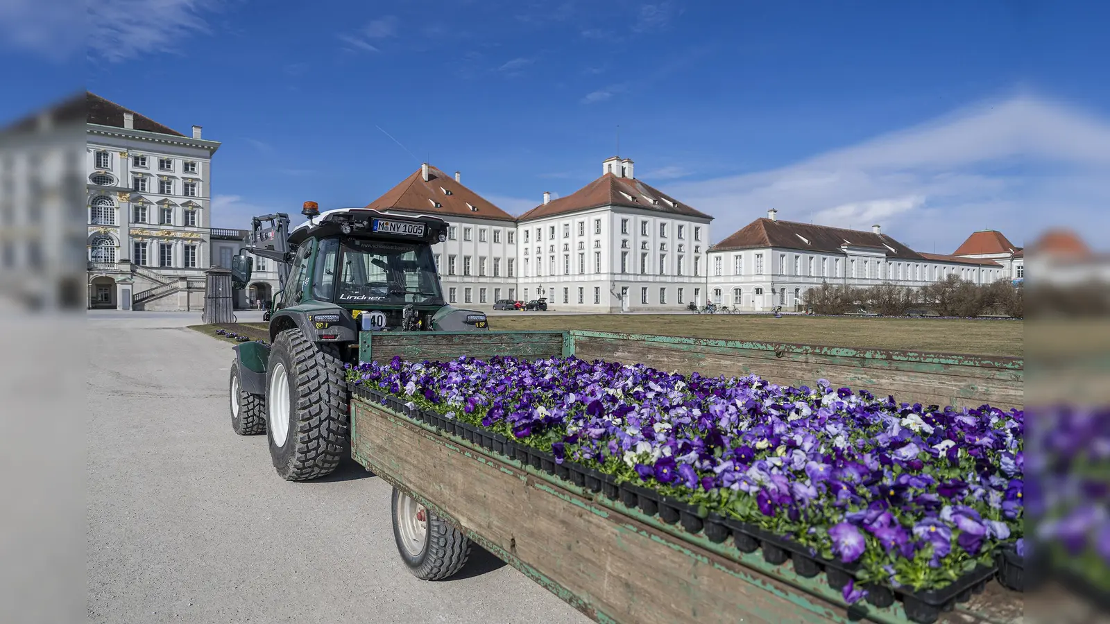 Im Außenparterrre des Schlosses wurden Blumensetzlinge in Blau, Weiß und Violett gesetzt.  (Foto: Florian Schröter/Bayerische Schlösserverwaltung)