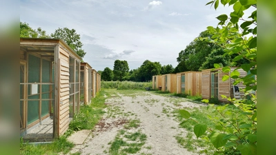Die zehn Volieren sind nach knapp einem Jahr endlich im Einsatz. (Foto: Tierschutzverein München e.V.)