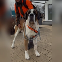 Balin (Foto: Tierheim Riem)