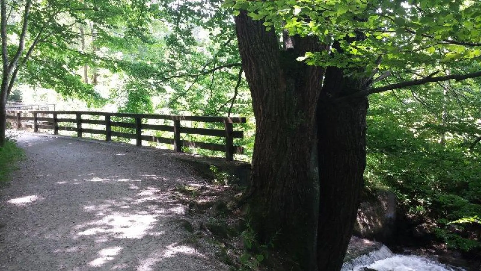 Auf dem Weg zur Maisinger Schlucht. (Foto: eis)