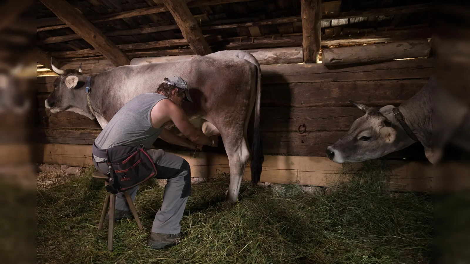 Melken von Hand. (Foto: Markus Wasmeier)