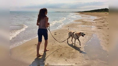 Ein Urlaub mit Haustier bereichert die Beziehung, erfordert aber auch Planung. (Foto: Tierschutzverein München)