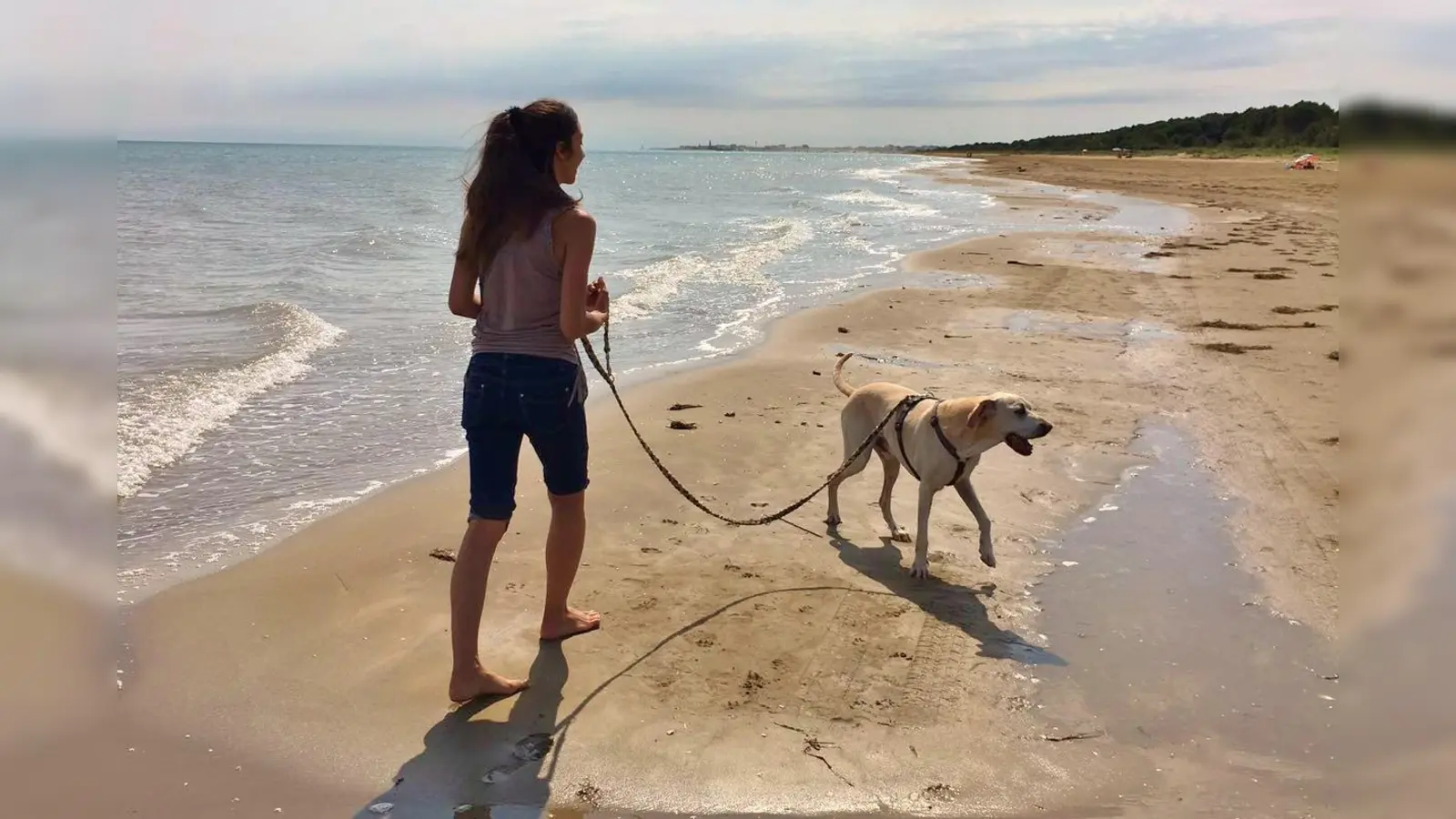 Ein Urlaub mit Haustier bereichert die Beziehung, erfordert aber auch Planung. (Foto: Tierschutzverein München)