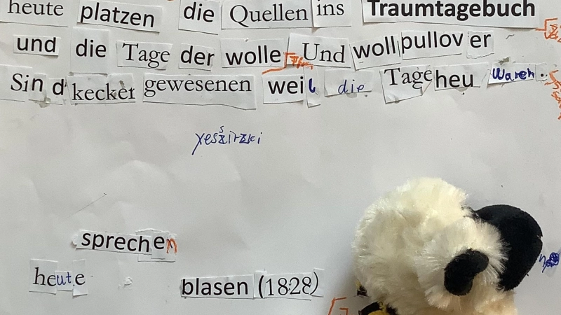Collagen wie diese hat die Klasse 5 orange der Wilhelm-Busch-Realschule zusammen mit einem Dichter und einer Dichterin angefertigt.  (Foto: Lyrik Kabinett)