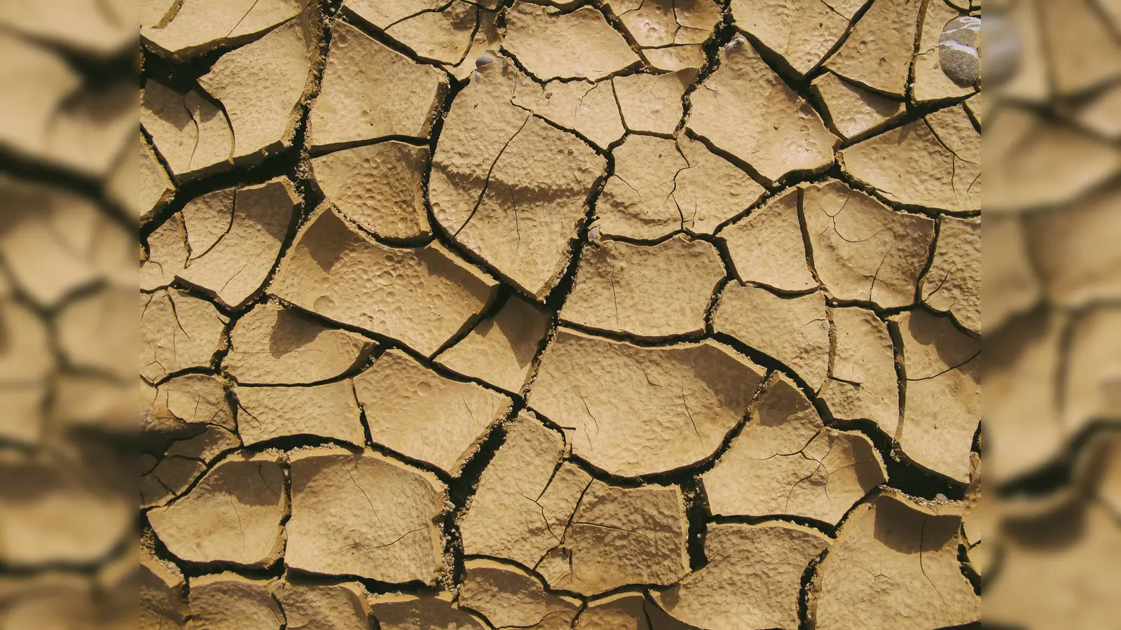 Der Klimawandel und seine gravierenden Folgen sind nicht abzusehen.  (Foto: CC0)