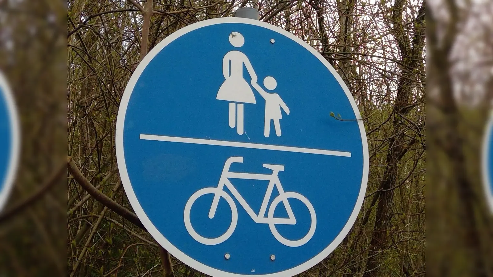 Streit gibt es um die Neuausrichtung des Radwegs in der Münchner Straße und Wasserburger Landstraße. (Foto: bas)
